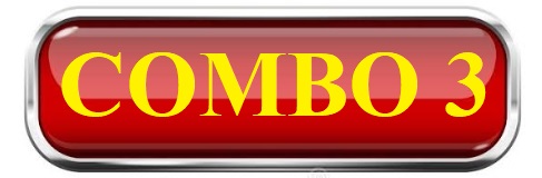 Combo 3